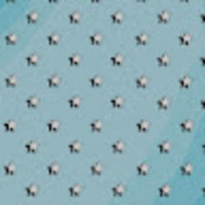 Meet your Posher, Lily